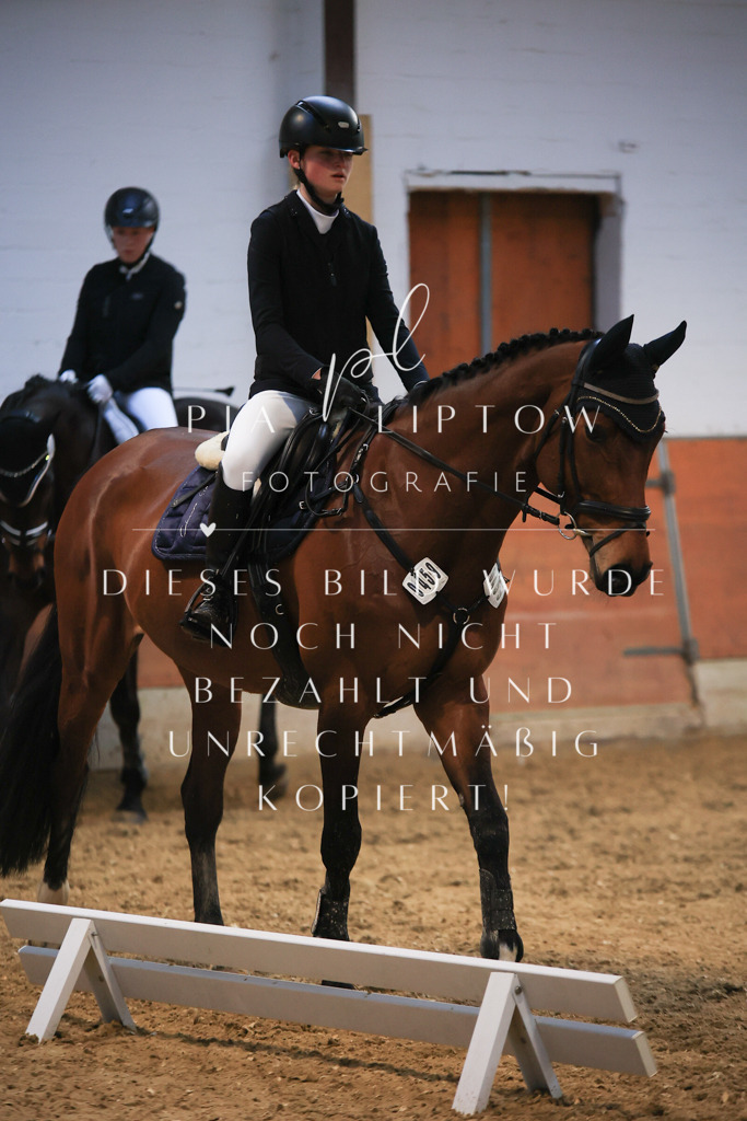 IMGT1646 - Kopie | pl-fotografie