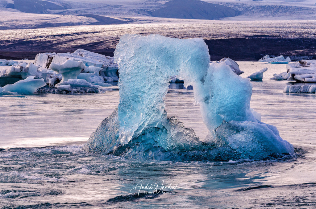 Einzigartige Schönheiten | Andre Wandrei - Nature Artworx - Realisiert mit Pictrs.com
