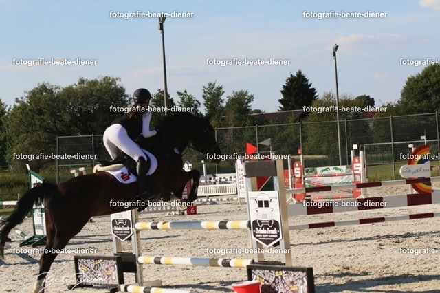 OHT 2022 Röhlingen (113) | Fotografie, Tiere, Hunde, Katzen, Pferde, Sportfotografie, Fotosession, Tierfotografie, Turnierfotografie, Fotografin, Fotograf - Realisiert mit Pictrs.com