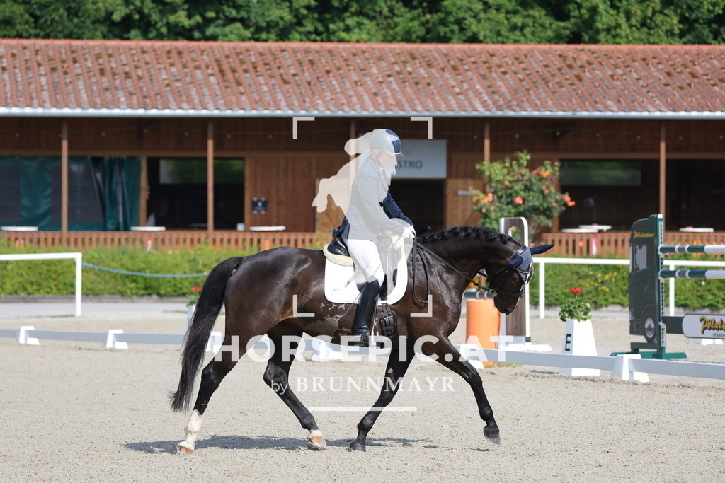 0P6A4525 | Willkommen bei Brunnmayr - Design & Fotografie – Ihrem Spezialisten für Reitturniere und Pferdeveranstaltungen in Oberösterreich, Salzburg und Bayern! Seit über 17 Jahren sind wir leidenschaftlich dabei.