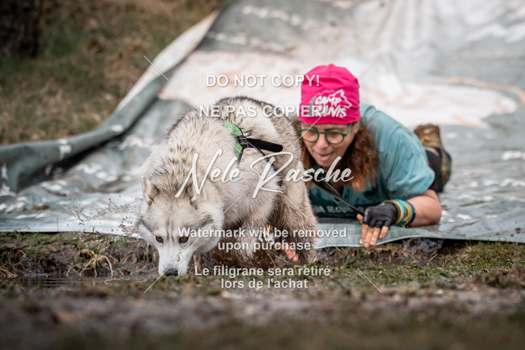 nelerasche_1330-1400_45 | nelerasche