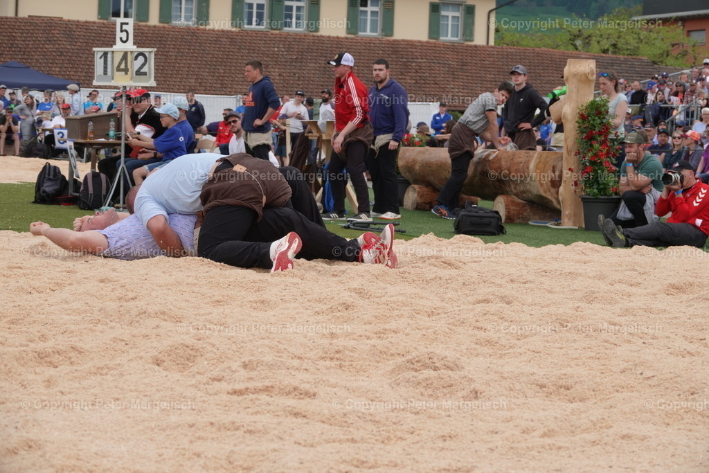 DSC03703 | Schwingen - Realisiert mit Pictrs.com