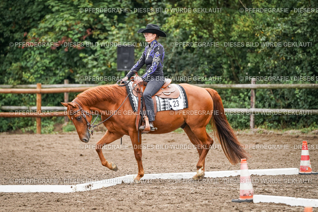 DSC03678 | Pferdegrafie