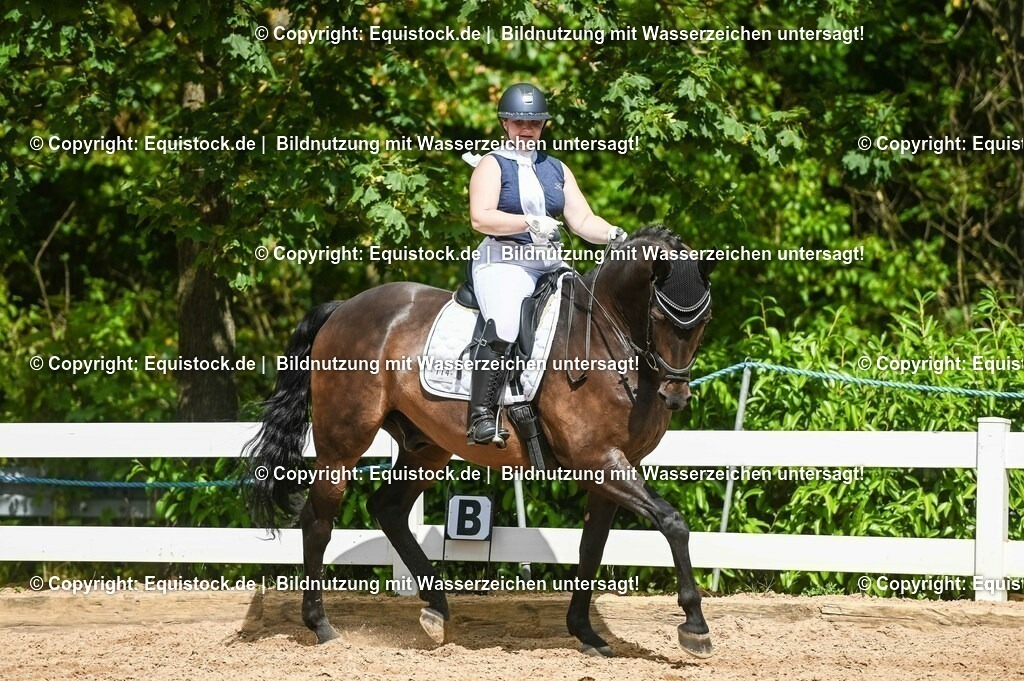 20230715_02_Dressurreiterprüfung Kl.L_0374 | equistock