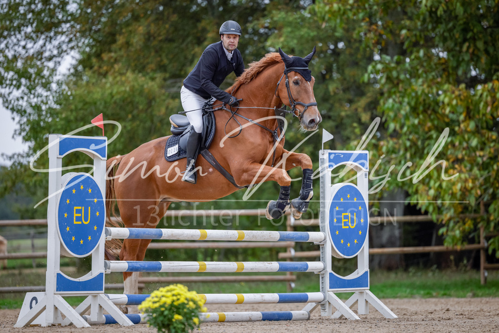 20251012-_3LI4439 | Tierfotografie Pferde, Hunde, Katzen, Haustiere.
Turnierfotografie Reitturniere, Reiten, Springreiten, Dressur in Hanau, dem Main-Kinzig-Kreis und dem Rhein-Main- Gebiet um Frankfurt