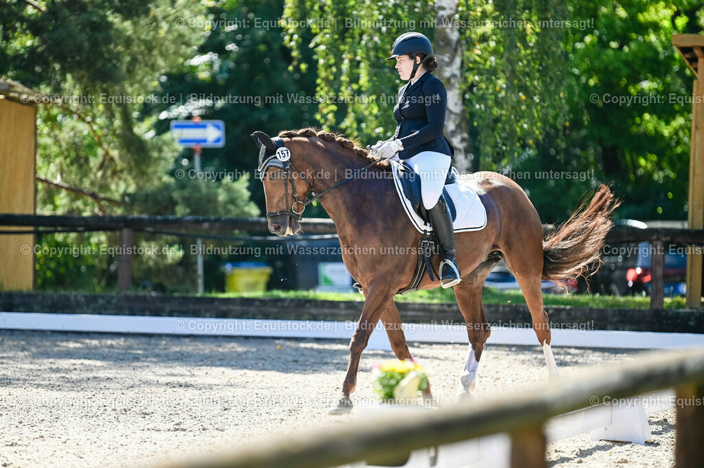 20230908_06_Dressur-L-Trense_0632 | equistock