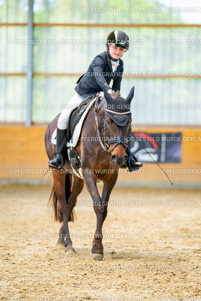 DSC07358 | Pferdegrafie