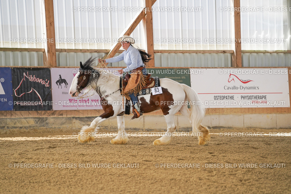 DSC02706 | Pferdegrafie