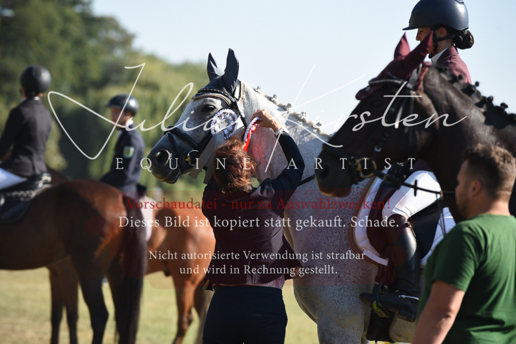DSC_5466 | Pferde- und Turnierfotografie in Westsachsen. Pferdeportraits, Auftragszeichnungen und intuitive Kunst.