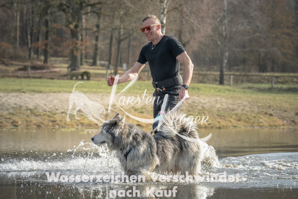 1040_ZZ98796 | kk-dogfotos