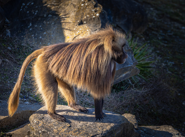 IMG_2021_03_28_2490 | Professionelle Fotografen für Portrait-, Produkt-, Beauty -, Fashion-, kommerzielle - u. Hochzeitsfotografie sowie für Veranstaltungen. Lokal vor Ort oder in lokalen Studios.