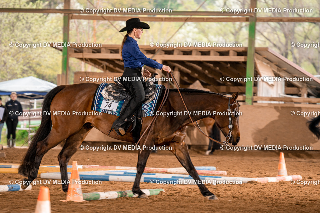 BA300281 | dv-media-shop - Realisiert mit Pictrs.com