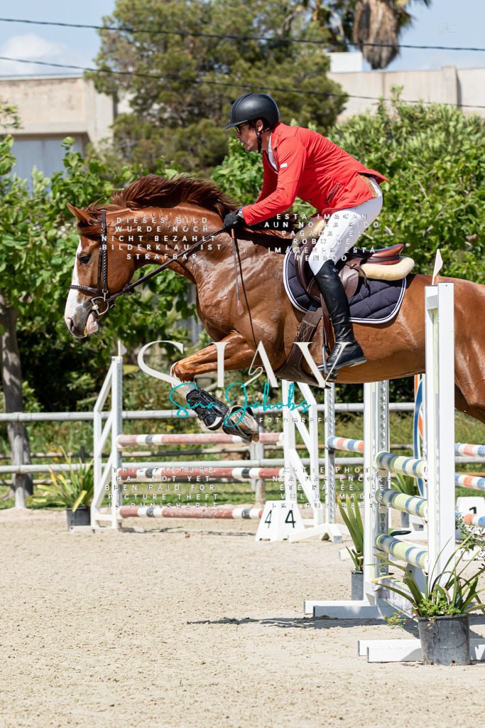 IMG_0587 | s-jay-photography - Realisiert mit Pictrs.com