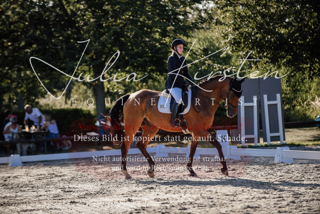 DSC_0672 | Pferde- und Turnierfotografie in Westsachsen. Pferdeportraits, Auftragszeichnungen und intuitive Kunst.