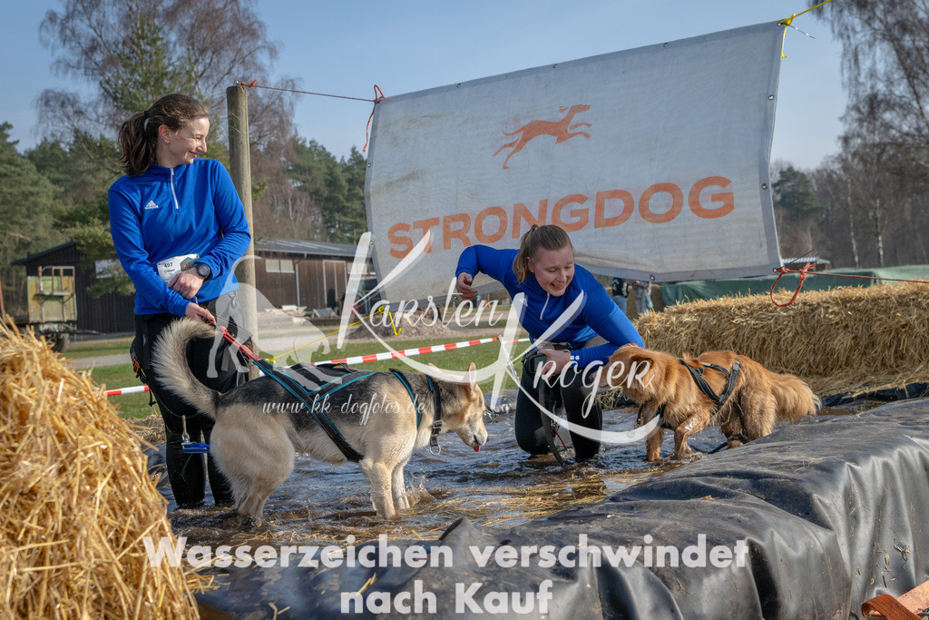 _ZZ90087 | kk-dogfotos