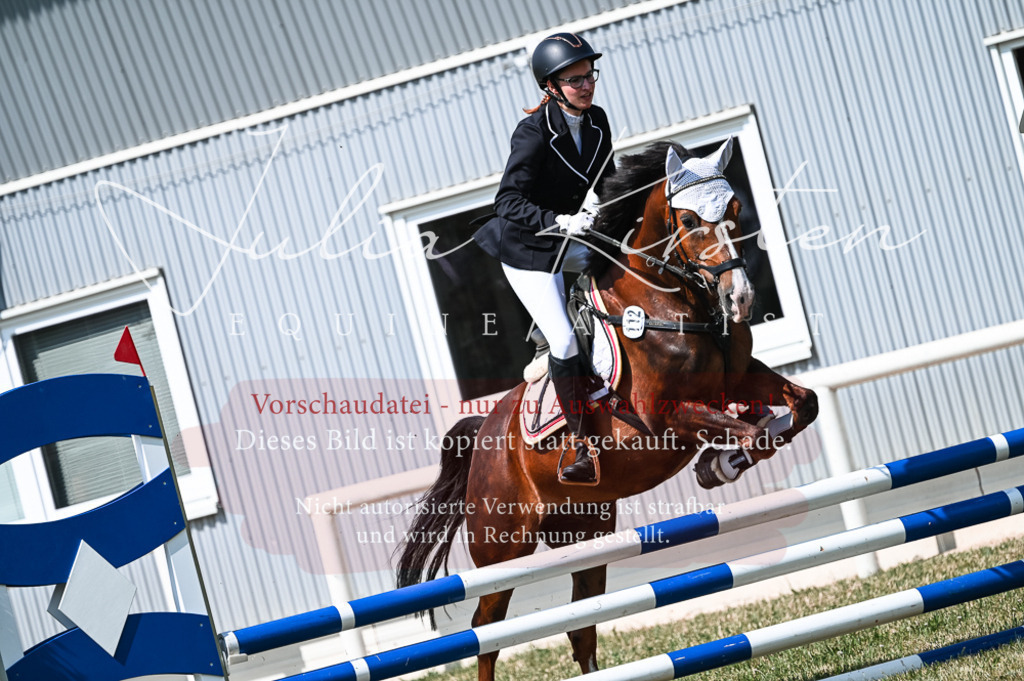 DSC_8660 | Pferde- und Turnierfotografie in Westsachsen. Pferdeportraits, Auftragszeichnungen und intuitive Kunst.
