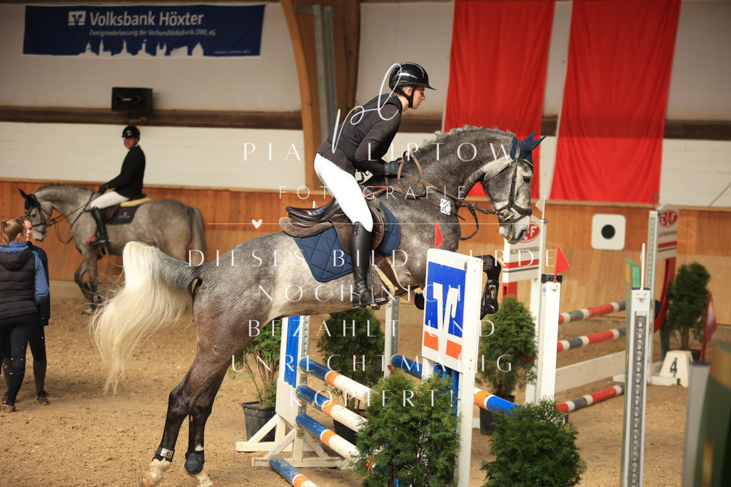 IMGT0779 | pl-fotografie