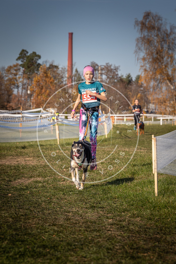 CaniXpix_0L8A7787 | Hundefotografie, Tierfotograf, Pfotenfotografie, Fotoshooting Hund, Hunde Portrait, Hundesport, Hundeportraits, Heideshooting, Hunde, Sportfotograf, Hundefotograf, Turnierhundsport, THS,  - Realisiert mit Pictrs.com