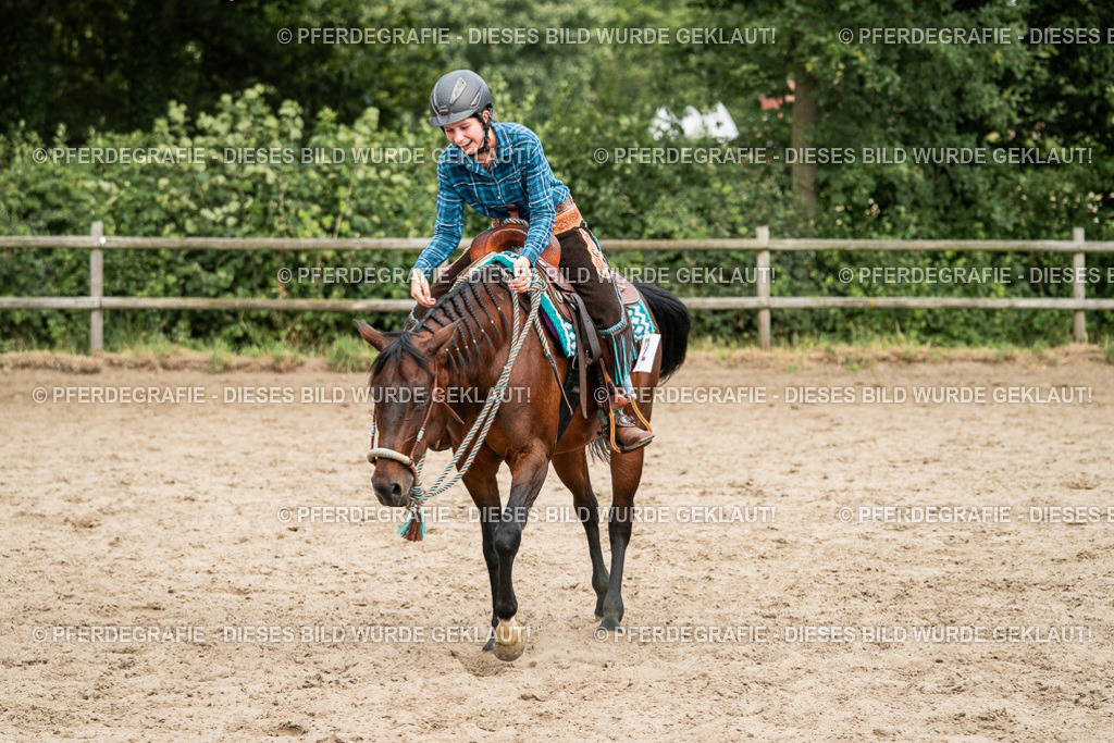 DSC04049 | Pferdegrafie