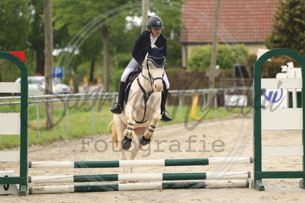 994A8439 | sabrinanicolaifotografie - Realisiert mit Pictrs.com