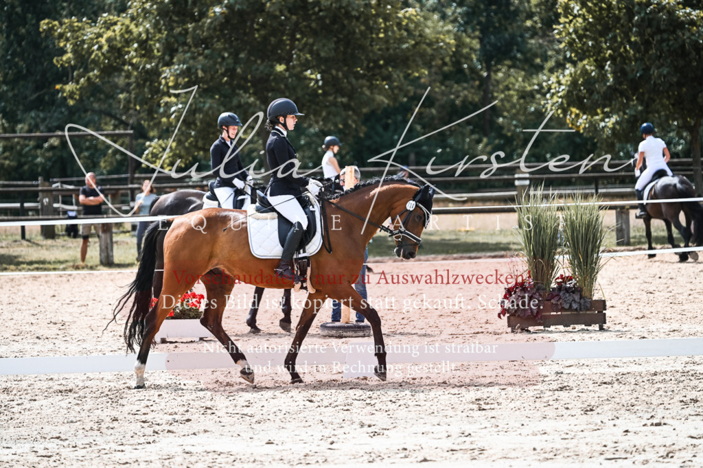 DSC_5168 | Pferde- und Turnierfotografie in Westsachsen. Pferdeportraits, Auftragszeichnungen und intuitive Kunst.