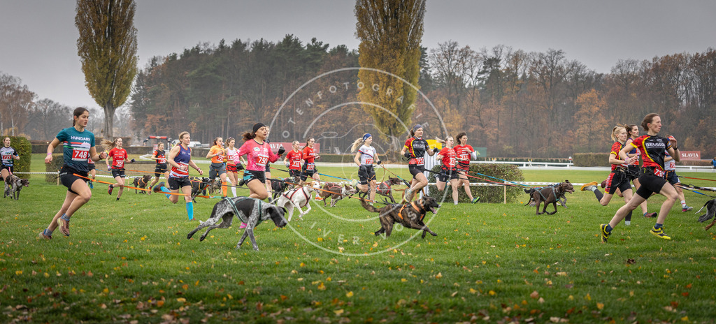 CaniXpix_DV3A8795 | Hundefotografie, Tierfotograf, Pfotenfotografie, Fotoshooting Hund, Hunde Portrait, Hundesport, Hundeportraits, Heideshooting, Hunde, Sportfotograf, Hundefotograf, Turnierhundsport, THS,  - Realisiert mit Pictrs.com