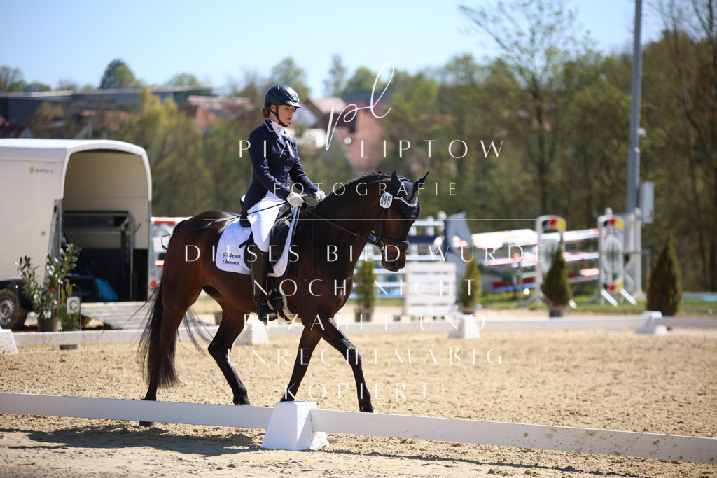 IMGT1273 | pl-fotografie