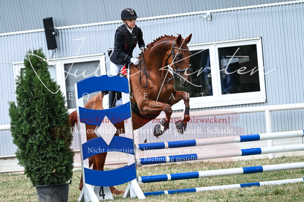 DSC_9002 | Pferde- und Turnierfotografie in Westsachsen. Pferdeportraits, Auftragszeichnungen und intuitive Kunst.