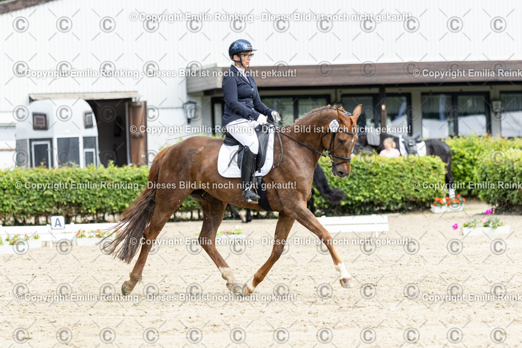 CL5A4946-2 | Emilia Reinking Fotografie - Realisiert mit Pictrs.com