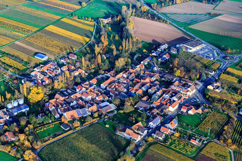 Luftbild: Ortsansicht von Südwesten im Ortsteil Appenhofen in Billigheim-Ingenheim im Bundesland Rheinland-Pfalz in Deutschland. Foto: IMG_085182.jpg vom 08.11.2015 durch Werner Riehm/FLY-FOTO.de
