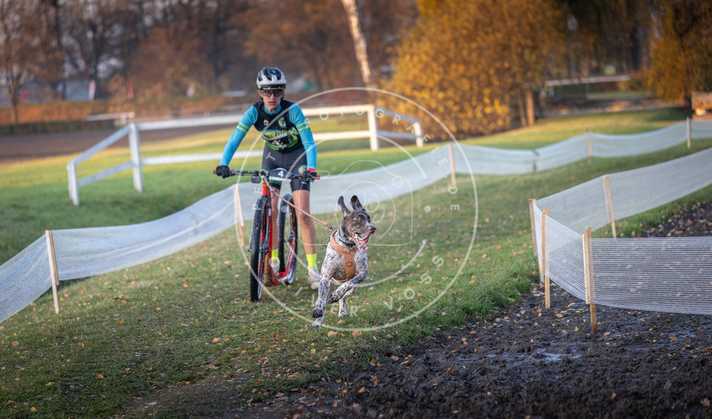 CaniXpix_DV3A9304 | Hundefotografie, Tierfotograf, Pfotenfotografie, Fotoshooting Hund, Hunde Portrait, Hundesport, Hundeportraits, Heideshooting, Hunde, Sportfotograf, Hundefotograf, Turnierhundsport, THS,  - Realisiert mit Pictrs.com