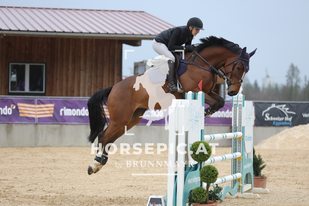 0P6A6923 | Willkommen bei Brunnmayr - Design & Fotografie – Ihrem Spezialisten für Reitturniere und Pferdeveranstaltungen in Oberösterreich, Salzburg und Bayern! Seit über 17 Jahren sind wir leidenschaftlich dabei.