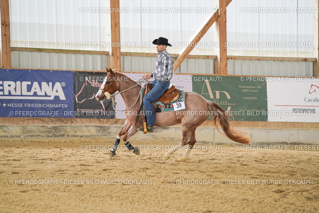 DSC03706 | Pferdegrafie