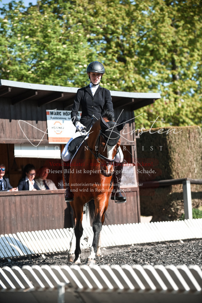DSC_8662 | Pferde- und Turnierfotografie in Westsachsen. Pferdeportraits, Auftragszeichnungen und intuitive Kunst.