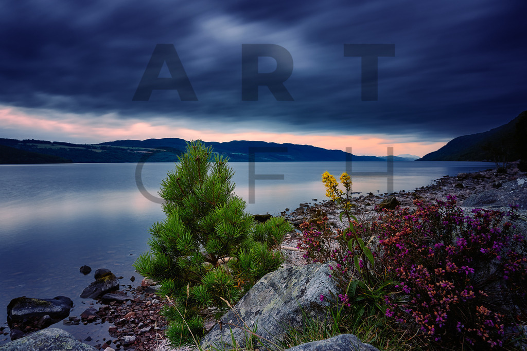 Ein Hans Fineart Original | Entdecke die Kunst von Hans Fineart - Fotografien für dein Zuhause. Verwandle deine Wände mit einzigartigen Kunstwerken und bringe die Schönheit der Welt in dein Leben. Bestelle jetzt und schaffe einen Ort der Inspiration und Eleganz.