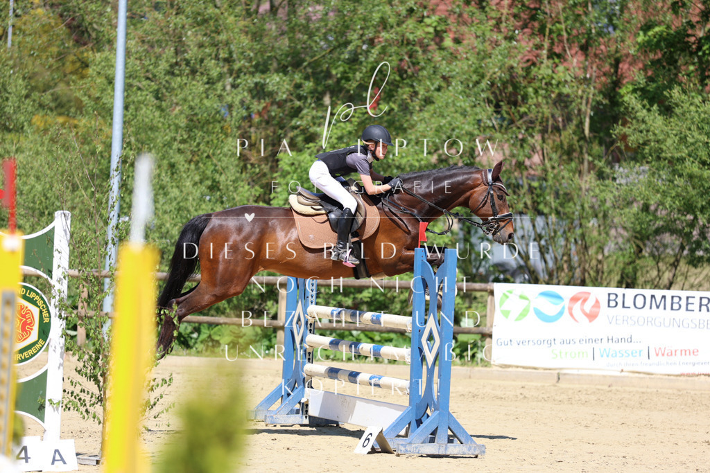 IMGS8362 | pl-fotografie