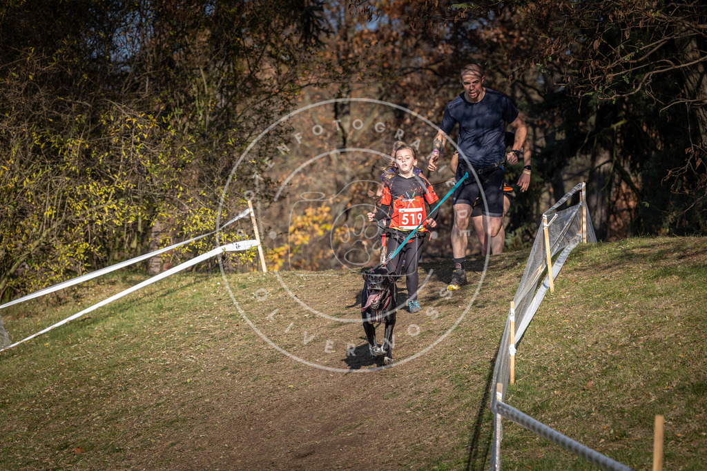 CaniXpix_0L8A8587 | Hundefotografie, Tierfotograf, Pfotenfotografie, Fotoshooting Hund, Hunde Portrait, Hundesport, Hundeportraits, Heideshooting, Hunde, Sportfotograf, Hundefotograf, Turnierhundsport, THS,  - Realisiert mit Pictrs.com