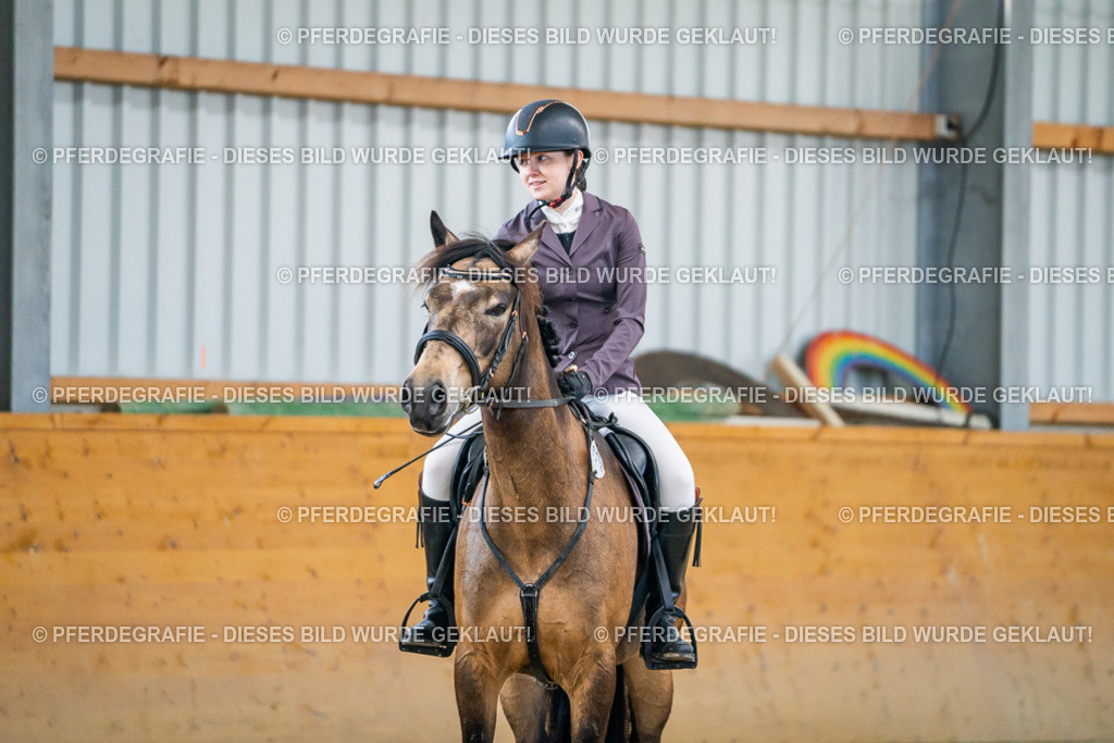 DSC01201 | Pferdegrafie