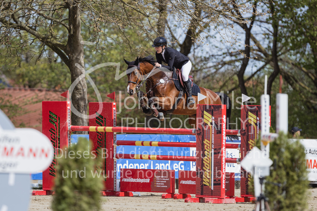 230501_SpengeW_M2St-175 | Deine schönsten Turniermomente als professionelle Fotos! Entdecke hochwertige Pferdesport-Fotografie im Online-Shop. Jetzt Fotos finden & bestellen!