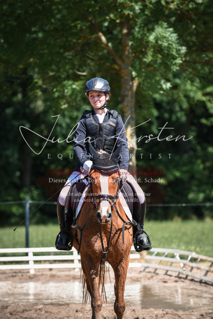 DSC_3246 | Pferde- und Turnierfotografie in Westsachsen. Pferdeportraits, Auftragszeichnungen und intuitive Kunst.