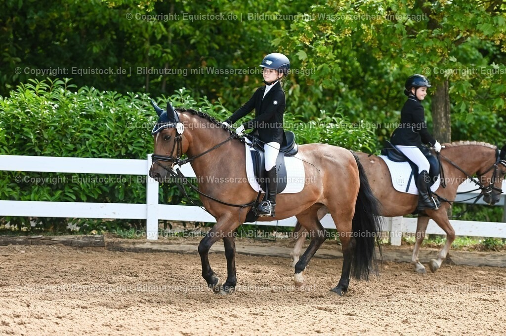 20230716_10-3_Reiter-WB Schritt - Trab - Galopp_0044 | equistock