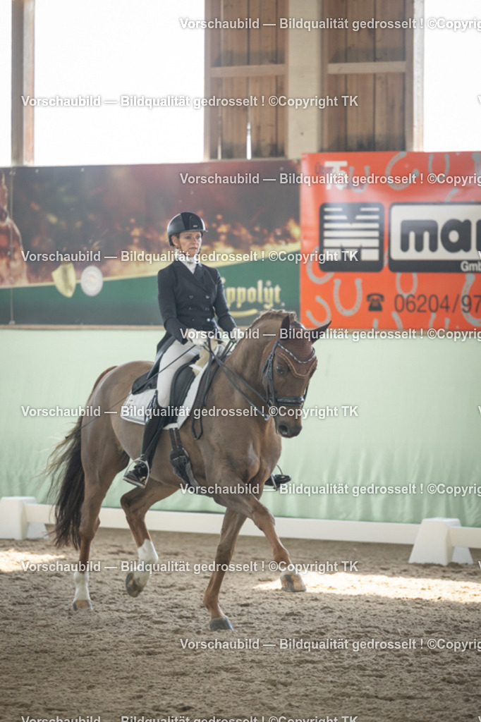 _D5A1260 | Emotionale Pferde- & People-Fotografie rund um Heidelberg, Leimen & Umgebung. Natürliche Fotos von Pferd, Mensch & Familie. Jetzt Termin sichern!