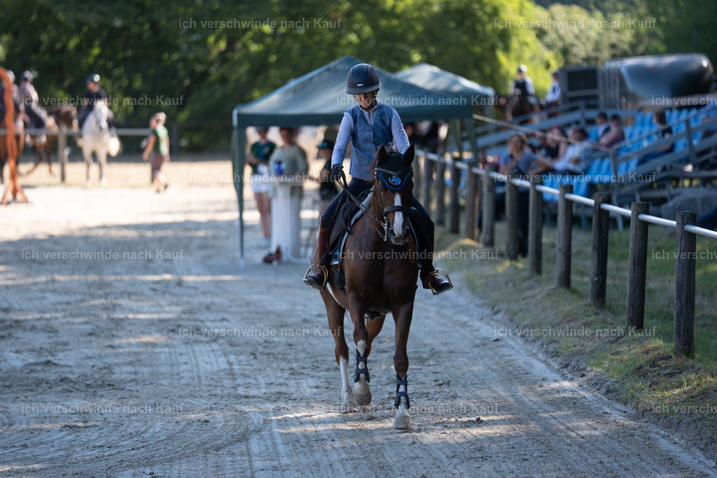WL_SP_89_SinaFilmArt_IN05699 | working equitationturnier fotograf videograf stoibphotography marixx film working equitation deutschland reitsport turnierfotografie eventfotografie equestrian events