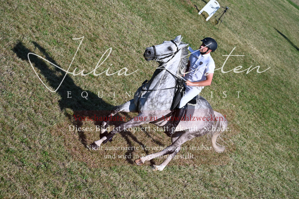 DSC_2564 | Pferde- und Turnierfotografie in Westsachsen. Pferdeportraits, Auftragszeichnungen und intuitive Kunst.