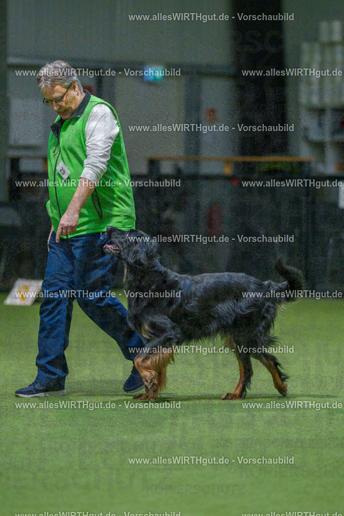 7R505350 | Professionelle Tierfotografie in Mönchengladbach von Daniel Wirth (allesWIRTHgut). Liebevolle & natürliche Bilder von Hunden & Katzen für unvergessliche Erinnerungen.