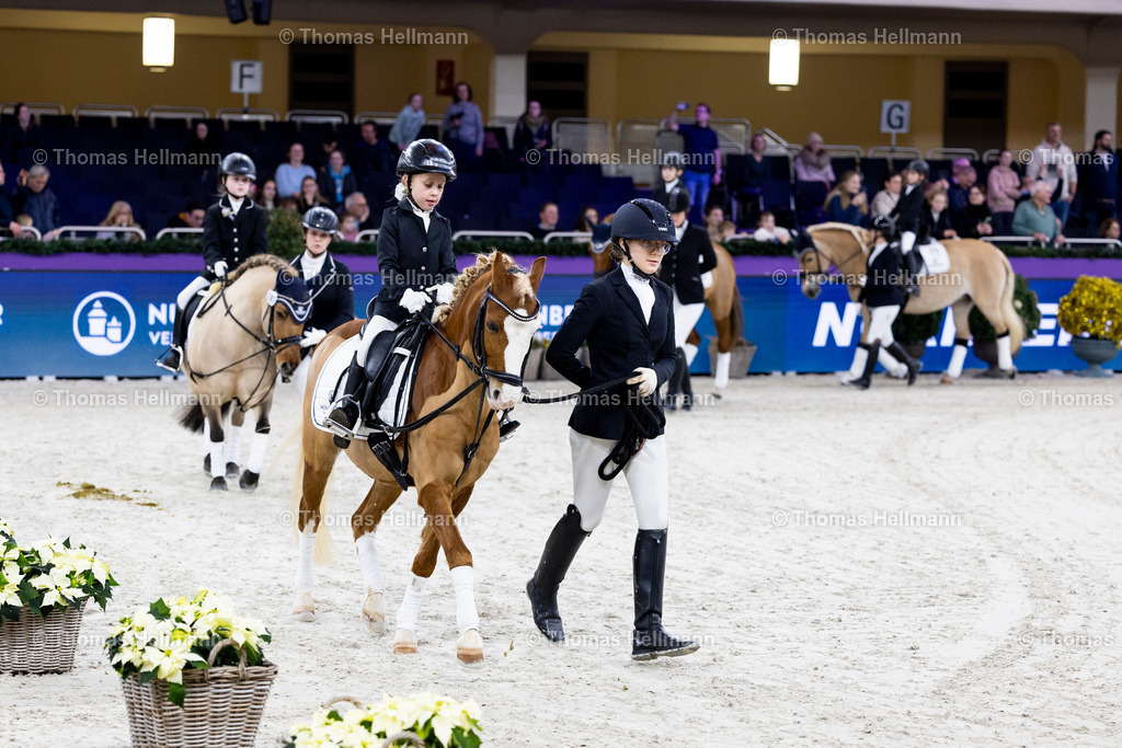 TH_Nürnberger Burgpokal Führzügelwettbewerb_13237 | Nürnberger Burgpokal Führzügelwettbewerb beim Festhallen Reitturnier Frankfurt 2023 am 15.12.23 in Frankfurt, Festhalle