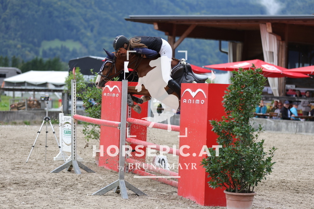0P6A2304 | Willkommen bei Brunnmayr - Design & Fotografie – Ihrem Spezialisten für Reitturniere und Pferdeveranstaltungen in Oberösterreich, Salzburg und Bayern! Seit über 17 Jahren sind wir leidenschaftlich dabei.