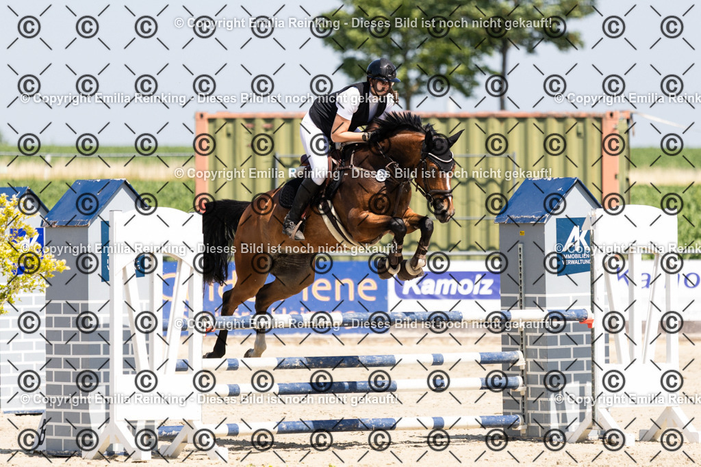 CL5A3301 | Emilia Reinking Fotografie - Realisiert mit Pictrs.com