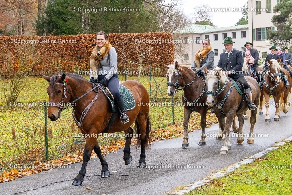 LL25-107 | foto-bettina-krinner - Realisiert mit Pictrs.com