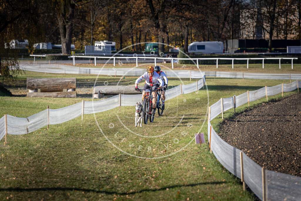 CaniXpix_DV3A3703 | Hundefotografie, Tierfotograf, Pfotenfotografie, Fotoshooting Hund, Hunde Portrait, Hundesport, Hundeportraits, Heideshooting, Hunde, Sportfotograf, Hundefotograf, Turnierhundsport, THS,  - Realisiert mit Pictrs.com